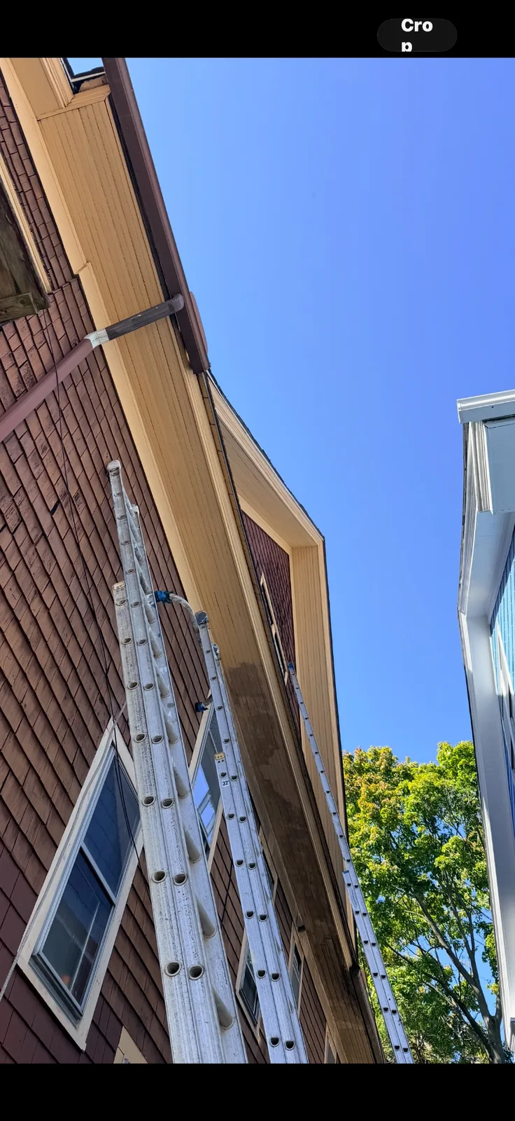 An extension ladder leaning against the siding of a brown house during exterior painting preparations.